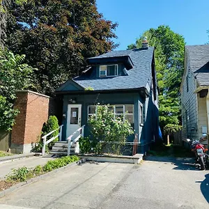 Lovely Ii Space Share A East York Canada Apartment